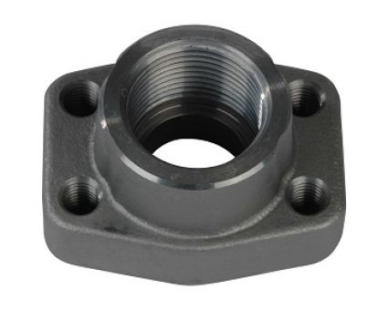BÍCH REN TRONG BSPP TIÊU CHUẨN SAE CODE 61 (3000PSI)